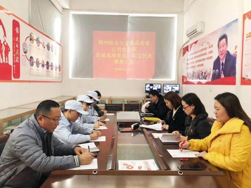 南宫电竞党支部，首届选举党员、职工代表推荐大会