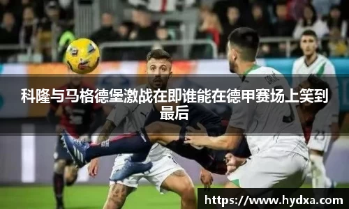mk体育官网
