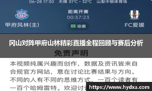 冈山对阵甲府山林精彩直播全程回顾与赛后分析